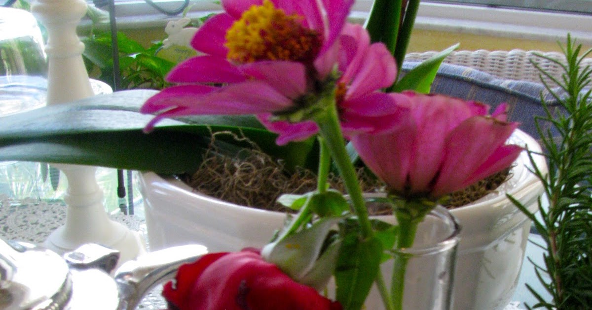 MAY DAYS Cure For Droopy Flowers