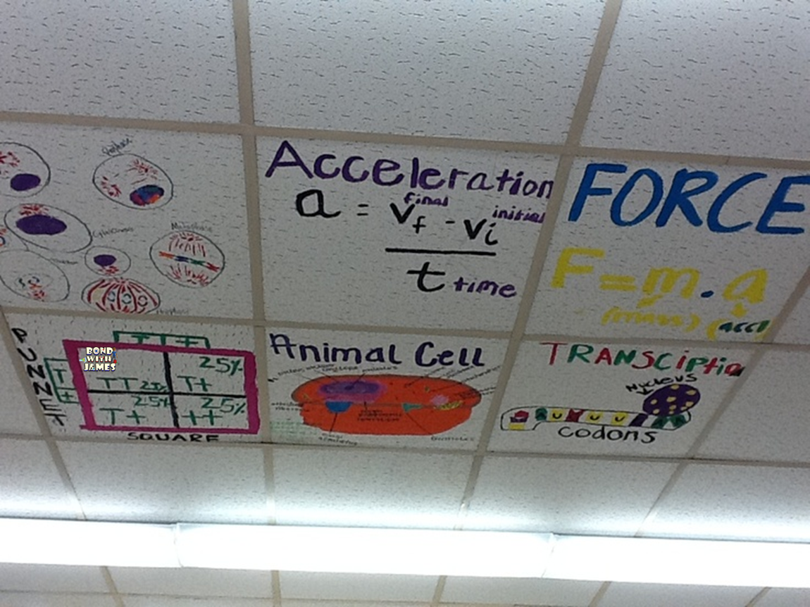 Bond With James Artistic Classroom Ceilings