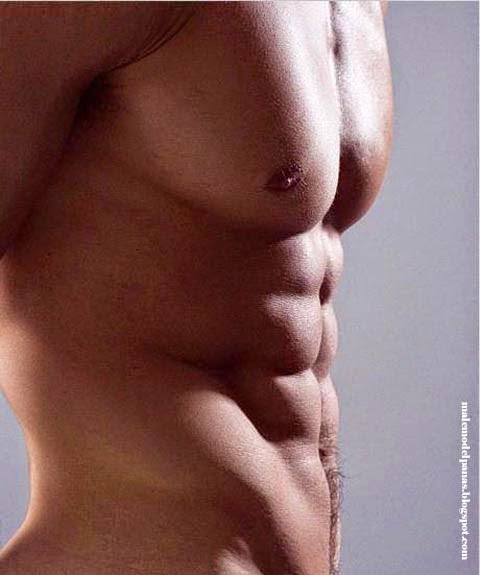 the beauty of male torso photo