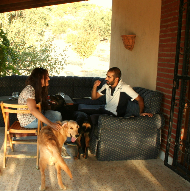yavru köpeğin ishali nasıl geçer