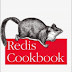 Redis Cookbook: Practical Techniques for Fast Data Manipulation