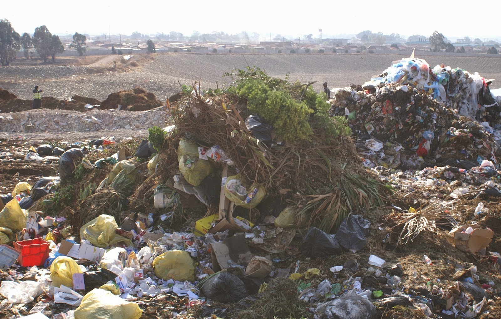 Tanzania Huge agrowaste potential is wasted Tanzania Exchange