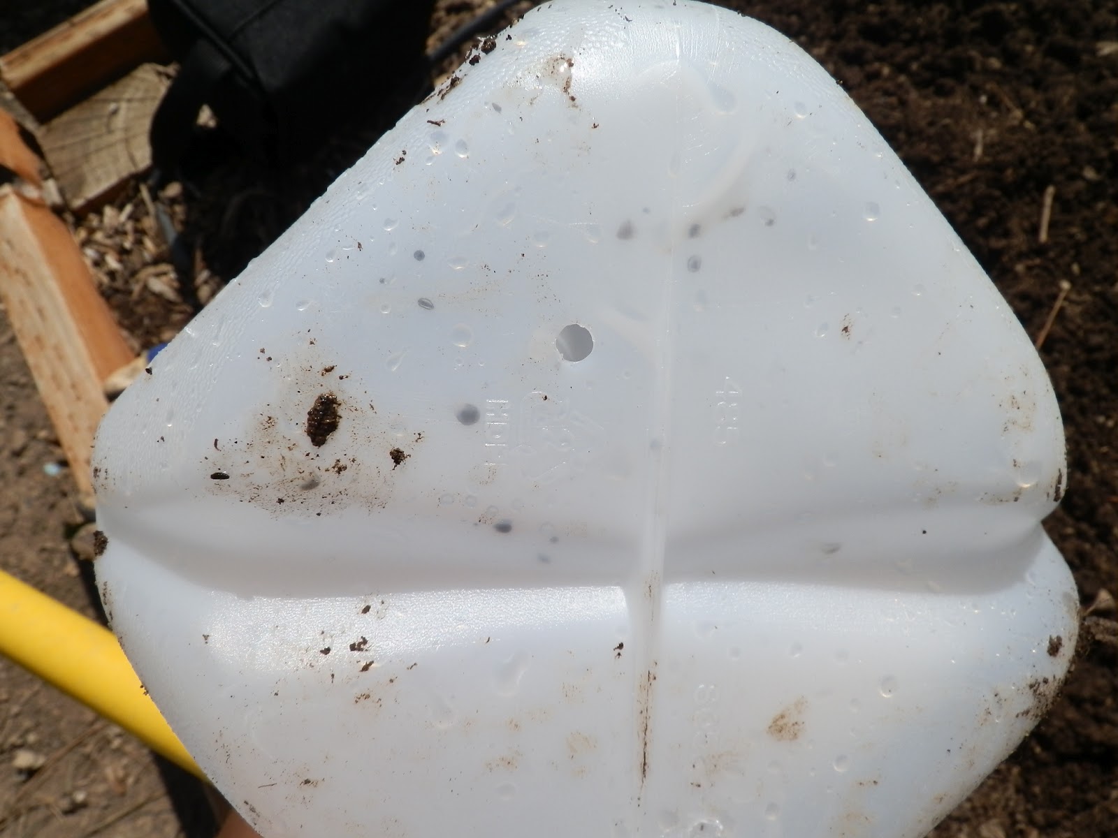 The Gardener's Spot Using Milk Jugs For Watering Your Garden