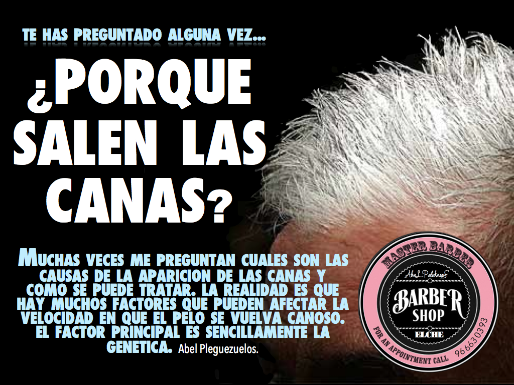 ¿PORQUE SALEN LAS CANAS? THE BARBER WORLD
