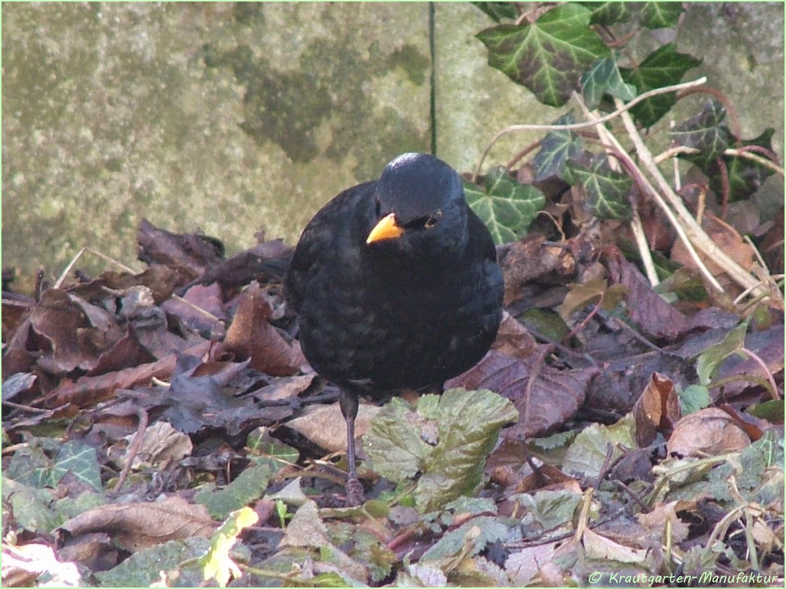 Die Krautgarten Manufaktur