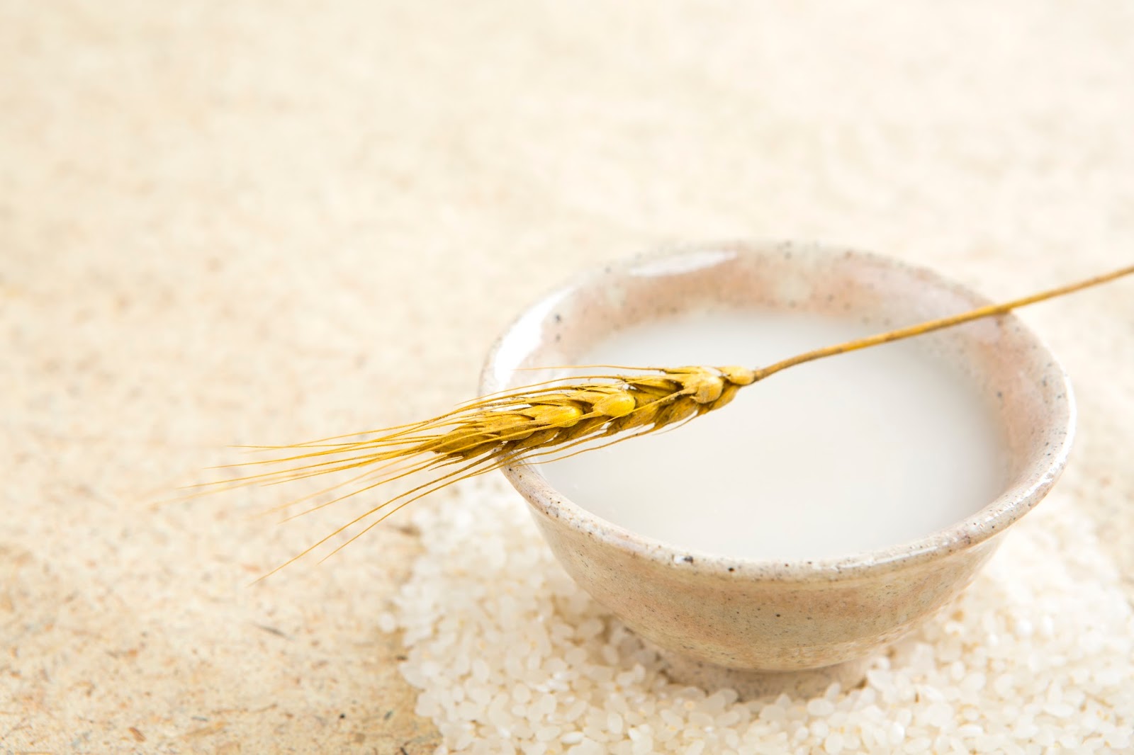korean rice wine korean rice wine