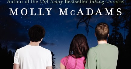 molly mcadams book series molly mcadams book series
