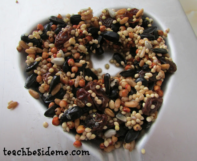 Homemade Bird Feeders (Without Peanut Butter) Teach Beside Me