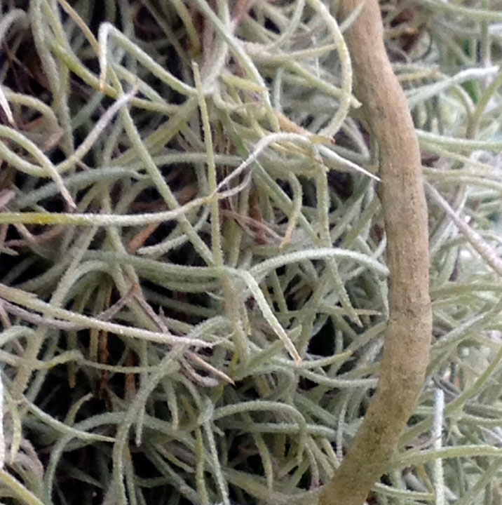 Christine Mauersberger September 2012