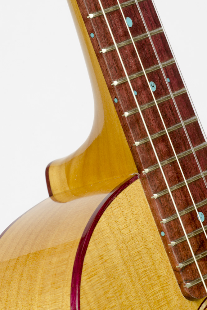 uke_Bari_june1_Cypress_purple_detail.jpg