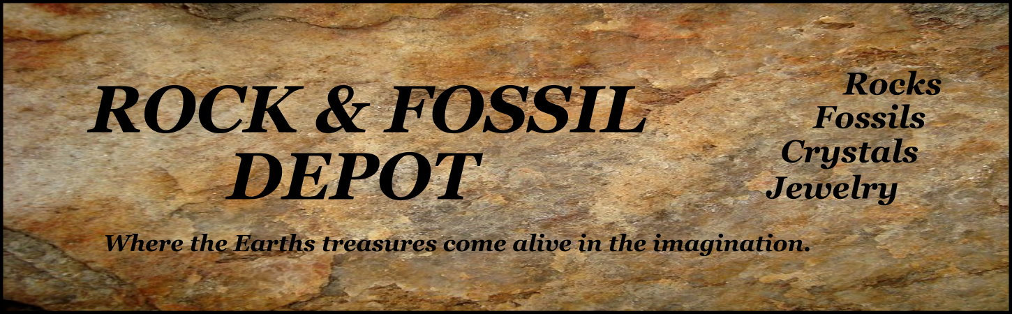 Rock and Fossil Depot
