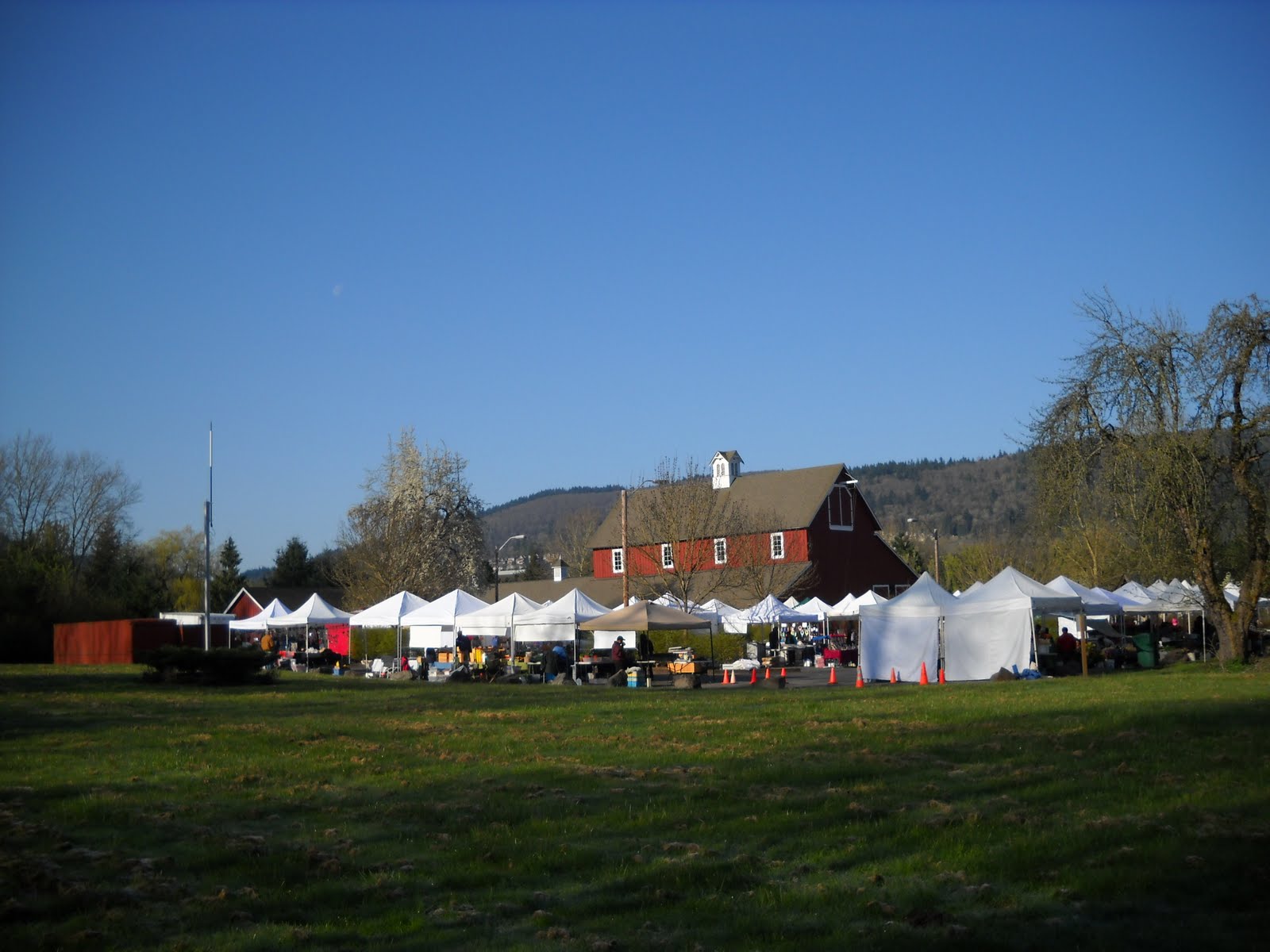 Kent S Bike Blog 30daysofbiking Issaquah Farmers Market