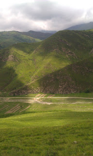 Размещенное изображение