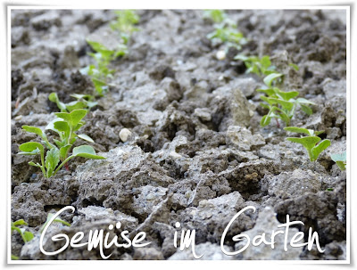 Garten-Keramik: Es tut sich was im Garten!