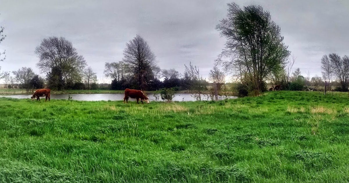 Green Pastures, and Environment
