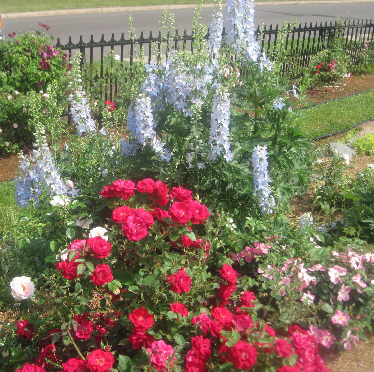 The Schramm Journey Munsinger And Clemens Gardens Of St Cloud