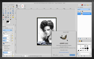 gimp 2.8.2