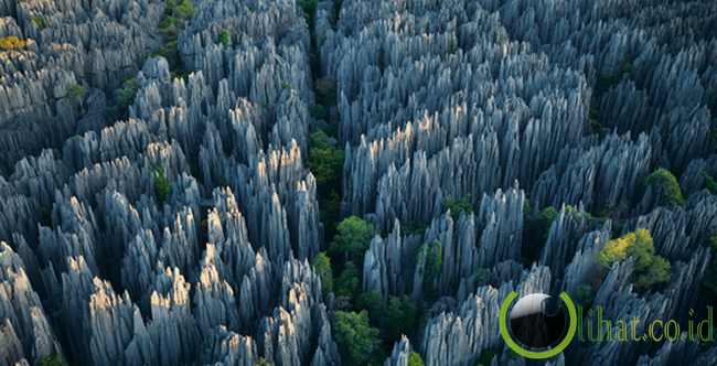 The Stone Forest (China) The Stone Forest (China)