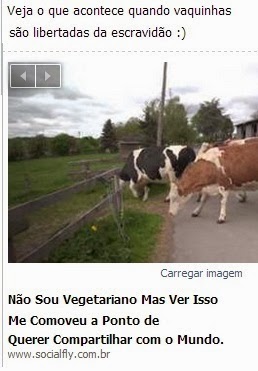 Pessoas inteligentes mudam todos os dias de opinião