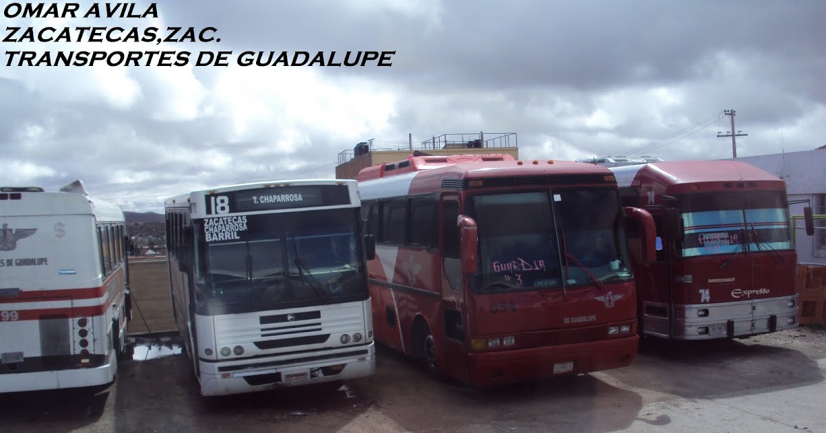 Durango Bus TRANSPORTES DE GUADALUPE