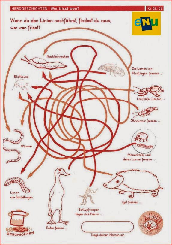 Dornbirn [ schulgarten ] Nützlinge im