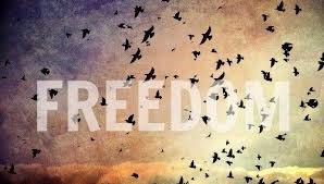 freedom