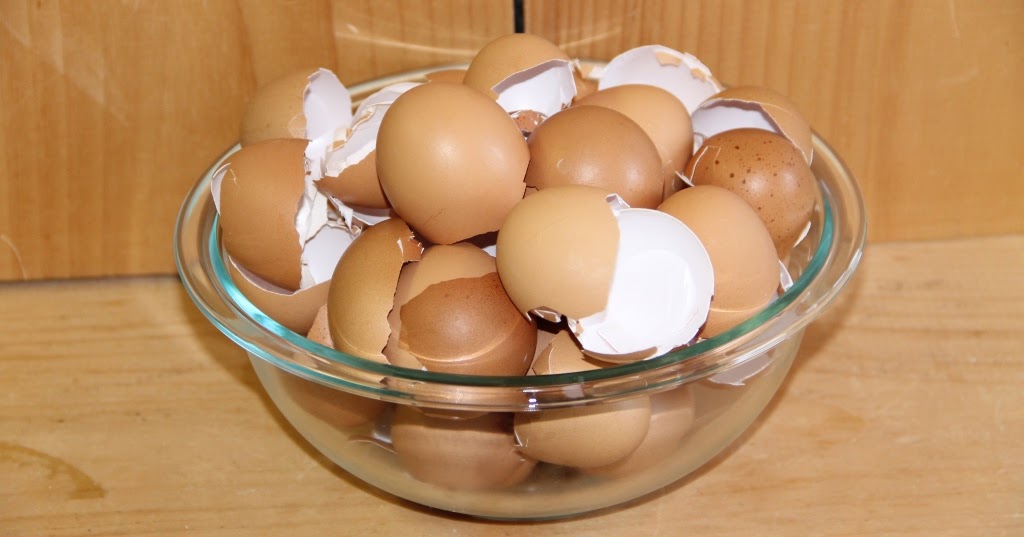 The Homestead Laboratory Grinding Eggshells