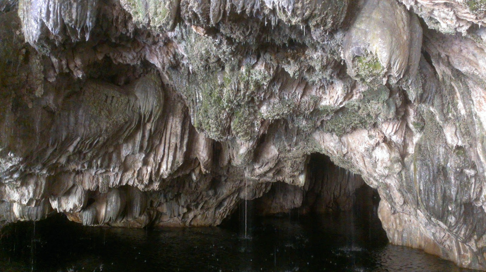 Natural Bridge Cavern (Angel's Camp)3 of 5 Googlenomics