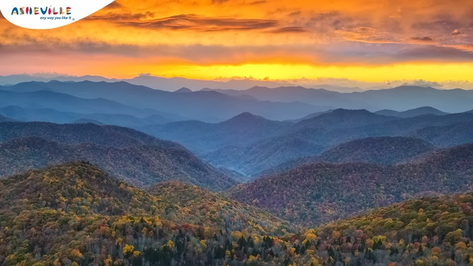 CAMP BLUE WALL Peak Leaves in Asheville