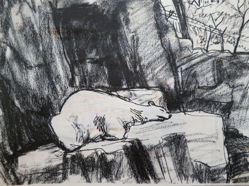 Drawn Downtown: Gus, the Central Park Zoo Polar Bear, Is Dead - Lenox