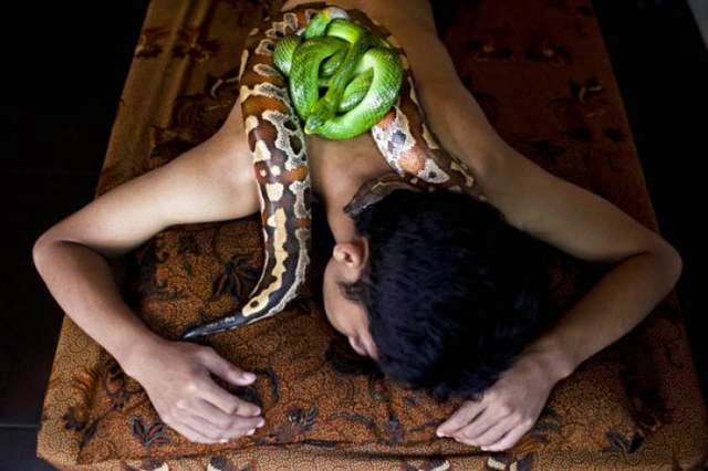 Reflexology - Massage python Reflexology - Massage python