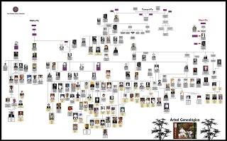 Árboles genealogicos de karate