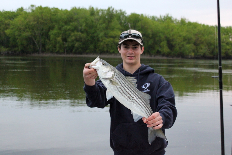 Passinthru Outdoors Connecticut River Stripers