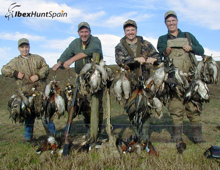 Spanish Ibex Hunts Ibex Hunting in Spain Driven Partridges in Spain