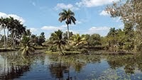 PARQUE NACIONAL CIENAGA DE ZAPATA