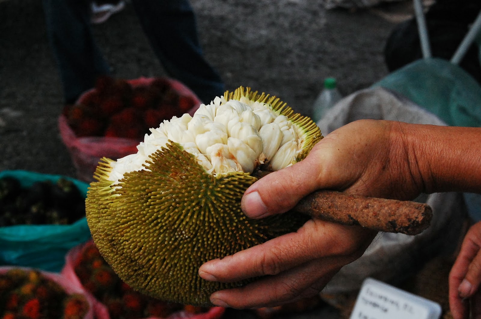 My Story Buah T Tampoi Tapas