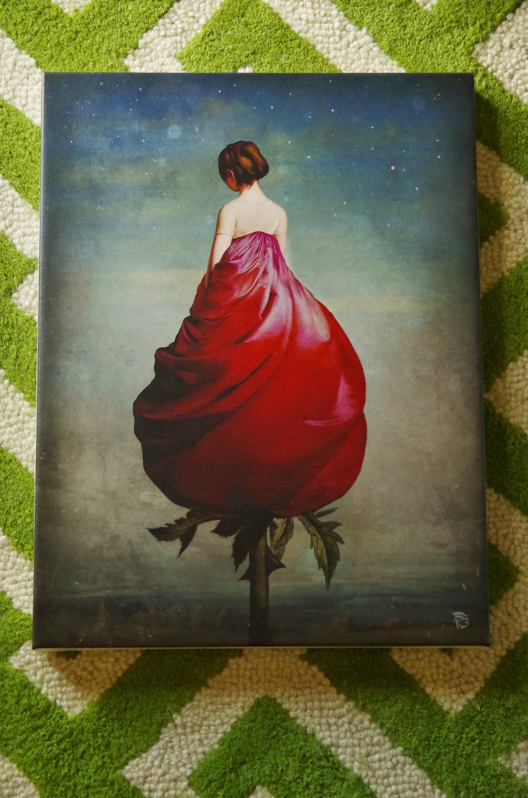 Mix and Chic Product review Redbubble canvas prints!