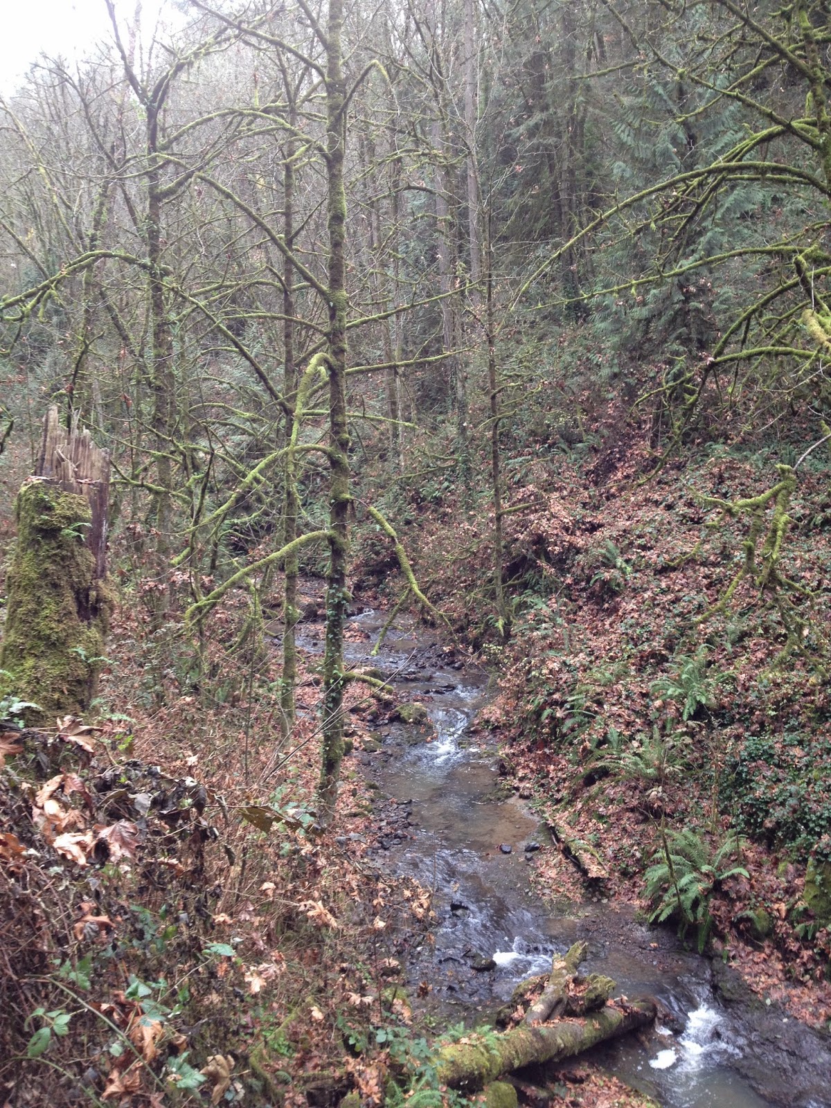 Left Bank of the Charles Grimm Country, NW Portland, Oregon
