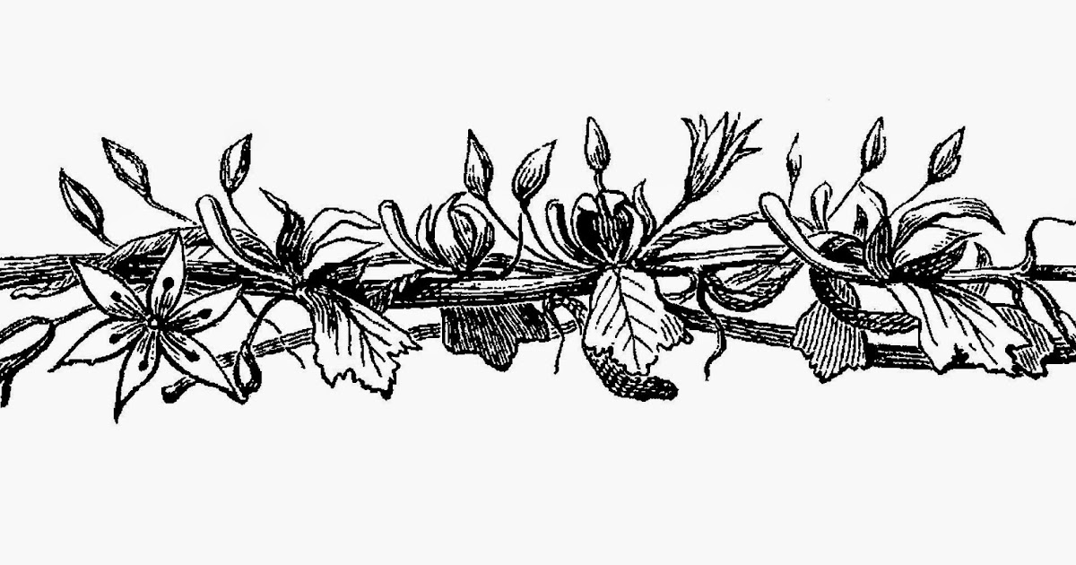Antique Images Flower Digital Border Download Image Transfer of