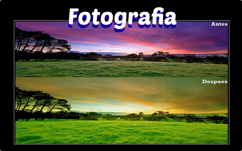 Forobeta5a.jpg