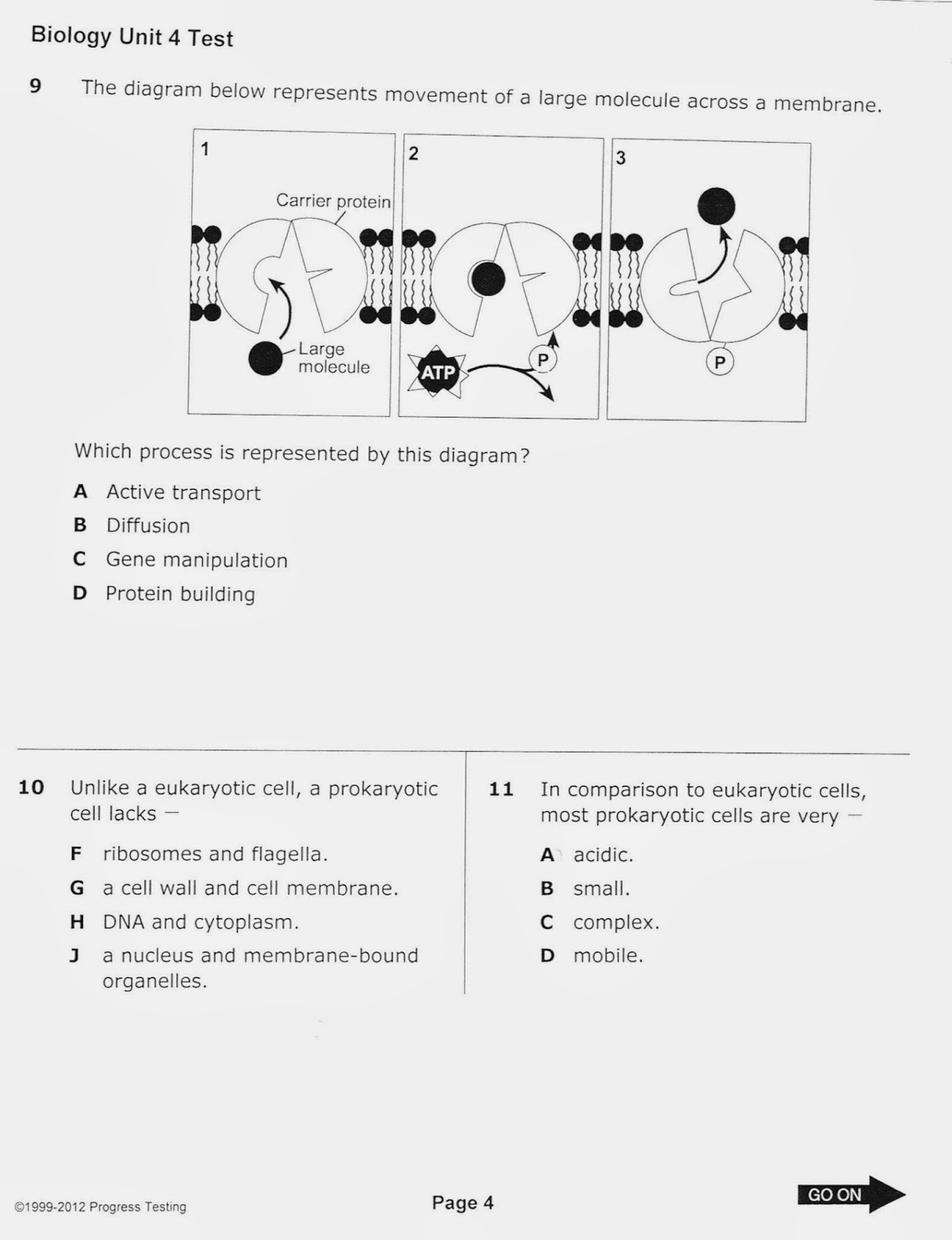 biology with coach t november 2013 venn diagram active and passive transport