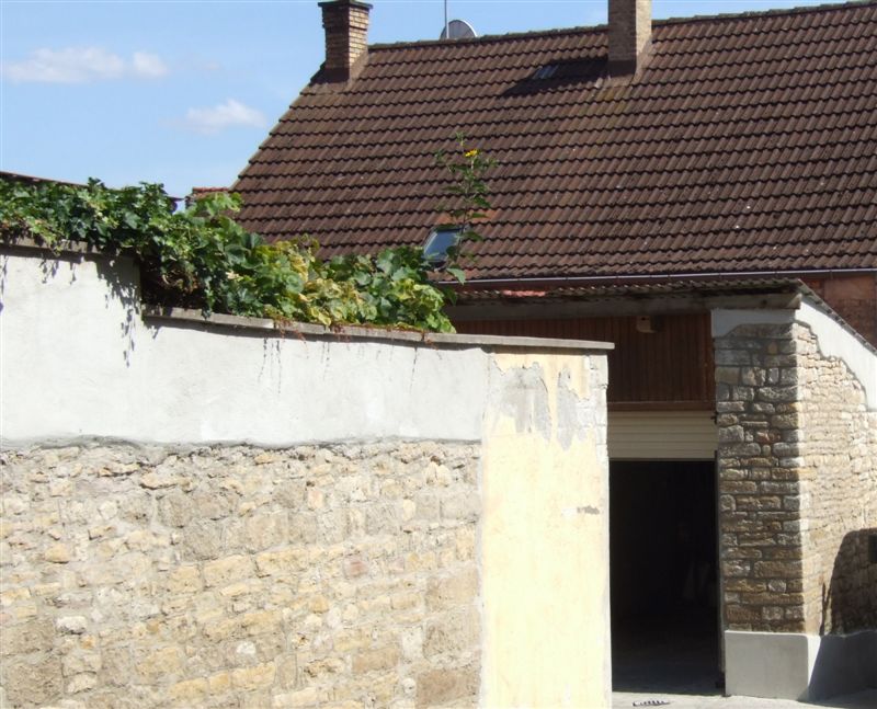 Wir Bauten Orange Medley200 Keller Wiga Gartengestaltung