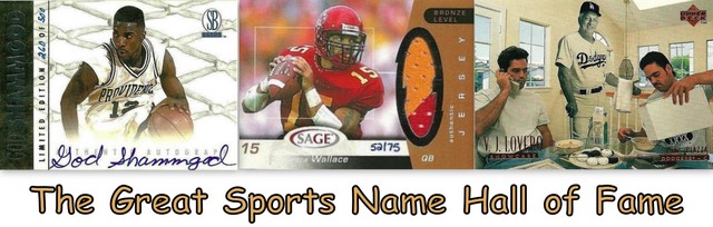 The Great Sports Name Hall of Fame