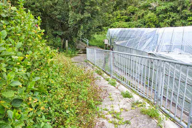 pipe fence,greenhouses,woods, eels