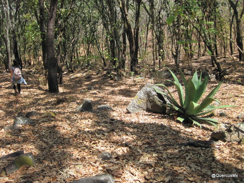 Explanadas en la Barranca del Tecuán