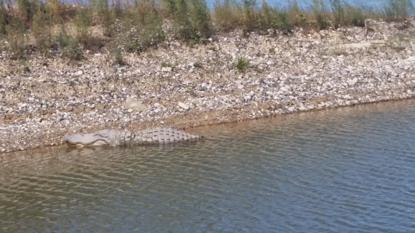 Shifting Gears Choke Canyon State Park