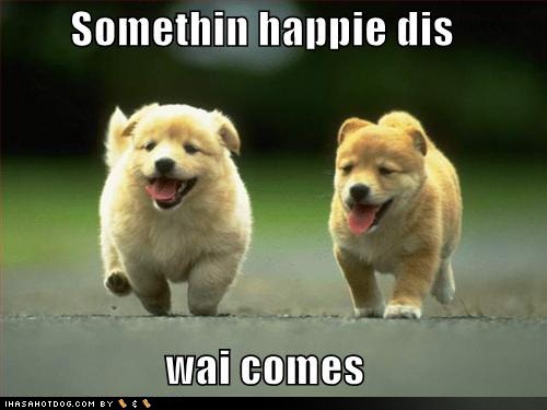 cute-puppy-pictures-something-happy-this-way-comes.jpg