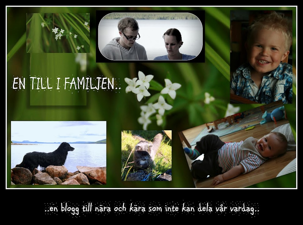 En till i familjen