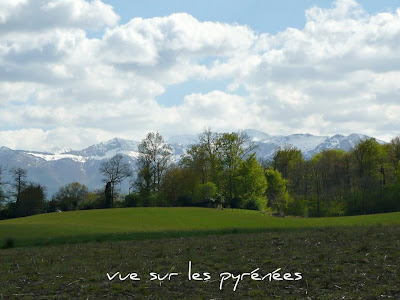 arros nay  route du bois de bié