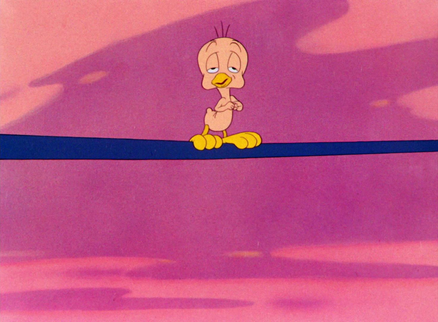 a tale of two kitties pernalonga e looney tunes f 243 rum chaves chaves chapolin e chespirito 233 aqui a tale of two kitties pernalonga e looney tunes f 243 rum chaves chaves chapolin e chespirito 233 aqui